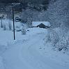 IMG_1955