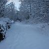 IMG_1960