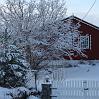 IMG_1973