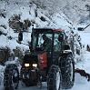 IMG_1977