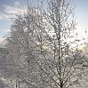 IMG_1997