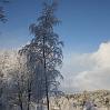 IMG_2004