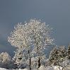 IMG_2006