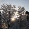 IMG_2008